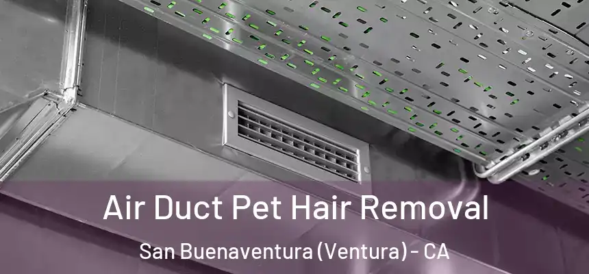  Air Duct Pet Hair Removal San Buenaventura (Ventura) - CA