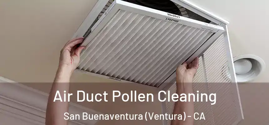  Air Duct Pollen Cleaning San Buenaventura (Ventura) - CA