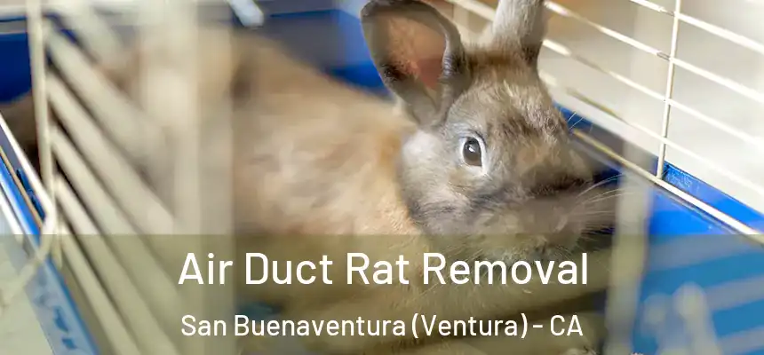  Air Duct Rat Removal San Buenaventura (Ventura) - CA