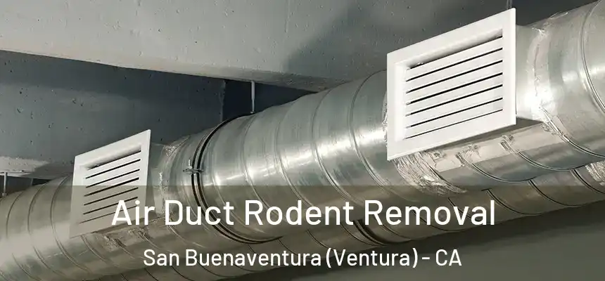  Air Duct Rodent Removal San Buenaventura (Ventura) - CA