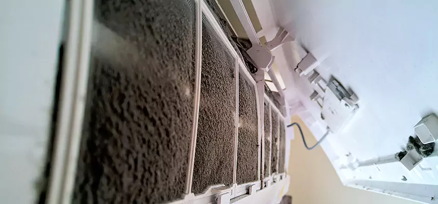 Preventive Air Duct Bacteria Removal in San Buenaventura (Ventura)