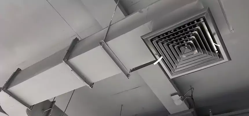 Restorative Allergy Relief Vent Cleaning – Coil, Blower & Housing Detail in San Buenaventura (Ventura)