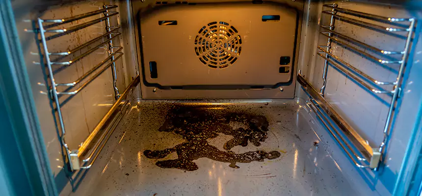 Our Dryer Vent Mold Cleaning Services in San Buenaventura (Ventura), CA