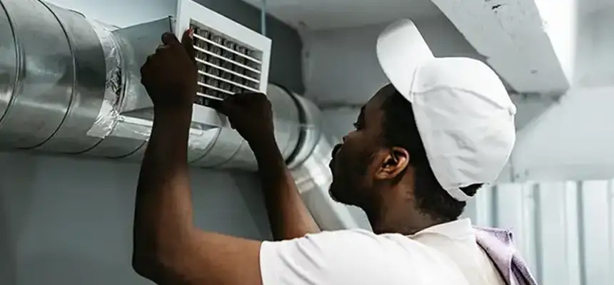 Our Licensed And Insured Cleaners in San Buenaventura (Ventura), CA