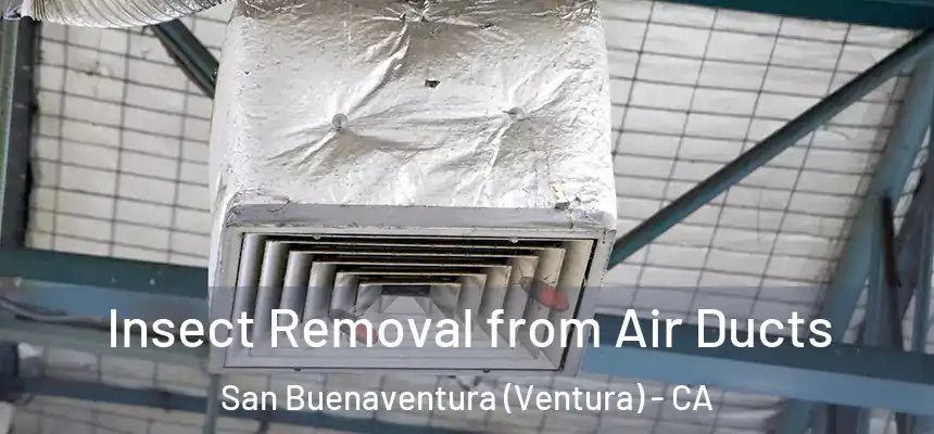  Insect Removal from Air Ducts San Buenaventura (Ventura) - CA