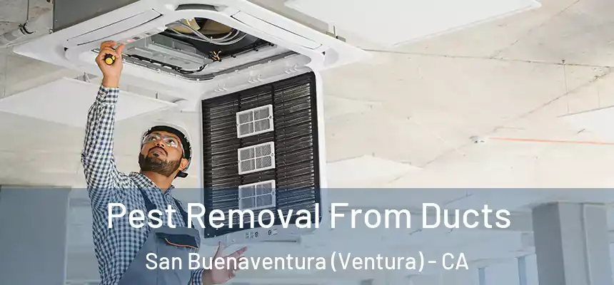  Pest Removal From Ducts San Buenaventura (Ventura) - CA
