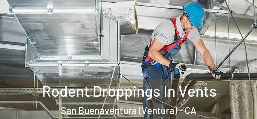  Rodent Droppings In Vents San Buenaventura (Ventura) - CA