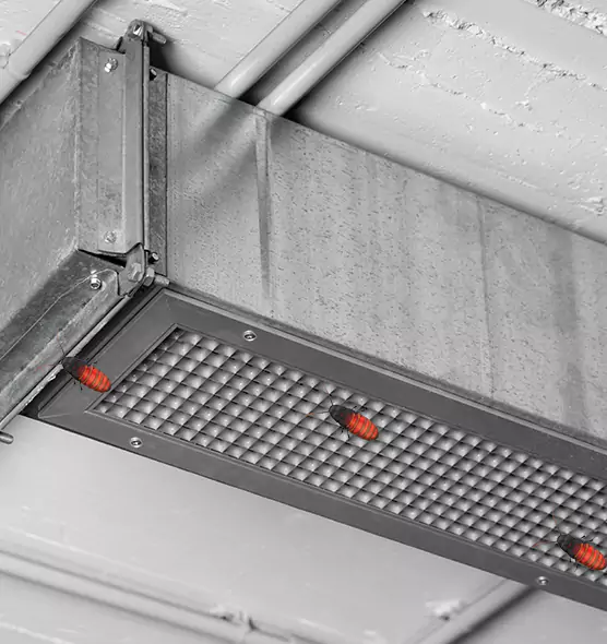 About Air Duct Cockroach Removal in San Buenaventura (Ventura), CA