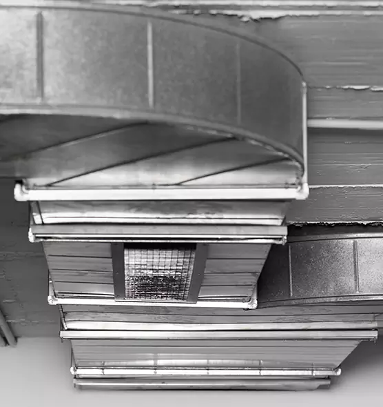 Professional Air Duct Pest Removal in San Buenaventura (Ventura), CA