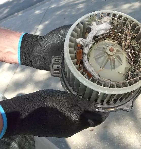 About Air Duct Rat Removal in San Buenaventura (Ventura), CA