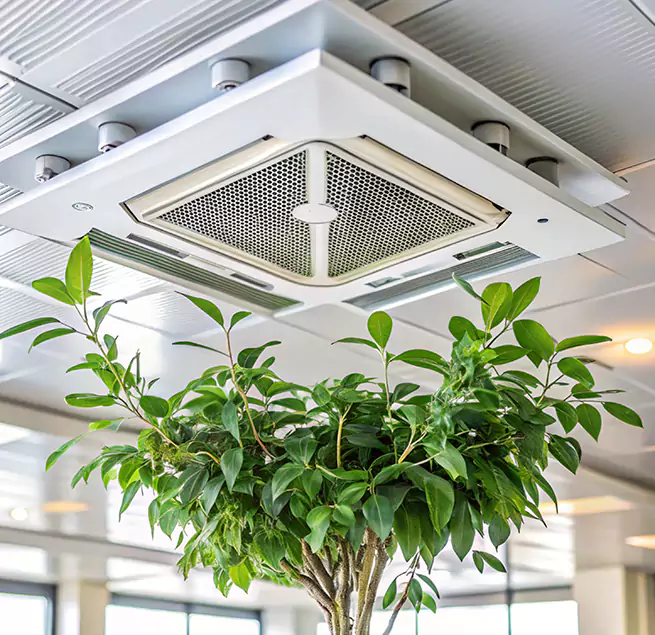 Why Homeowners & Businesses Trust Us in San Buenaventura (Ventura), CA?