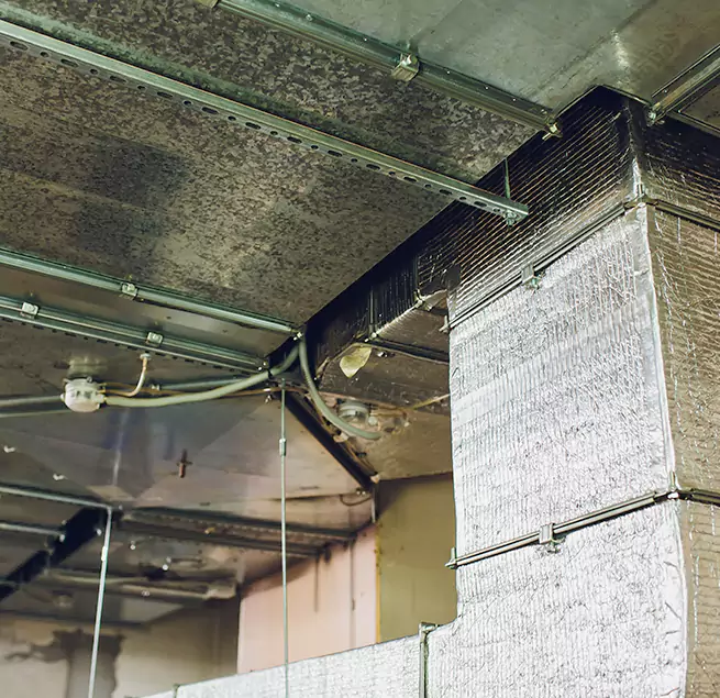 Why Homeowners & Businesses Trust Us in San Buenaventura (Ventura), CA?